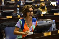 Impulsaron un proyecto de declaración ante los reclamos por las prestaciones en discapacidad