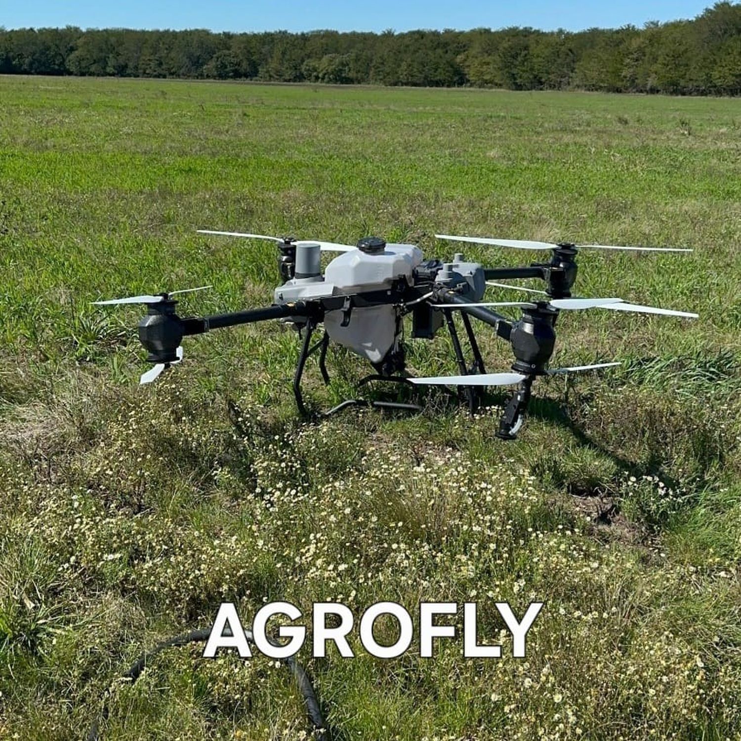 Innovación es lo que propone Agrofly