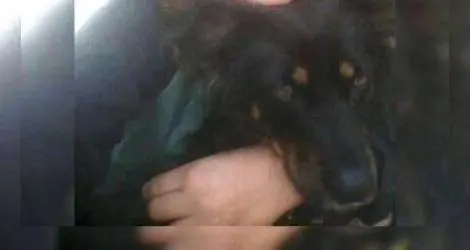 Buscan a Black