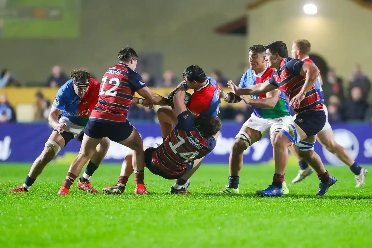 Capibaras vs Pampas