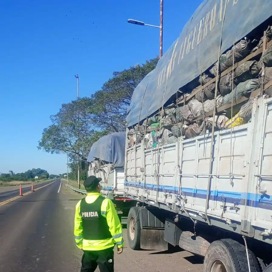 secuestran más de 56 toneladas de carbón transportadas sin documentación forestal - 3