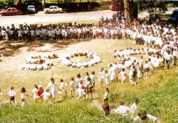 Día del medio ambiente: desde el San Pedro de CODEFAR al desprecio por el arbolado