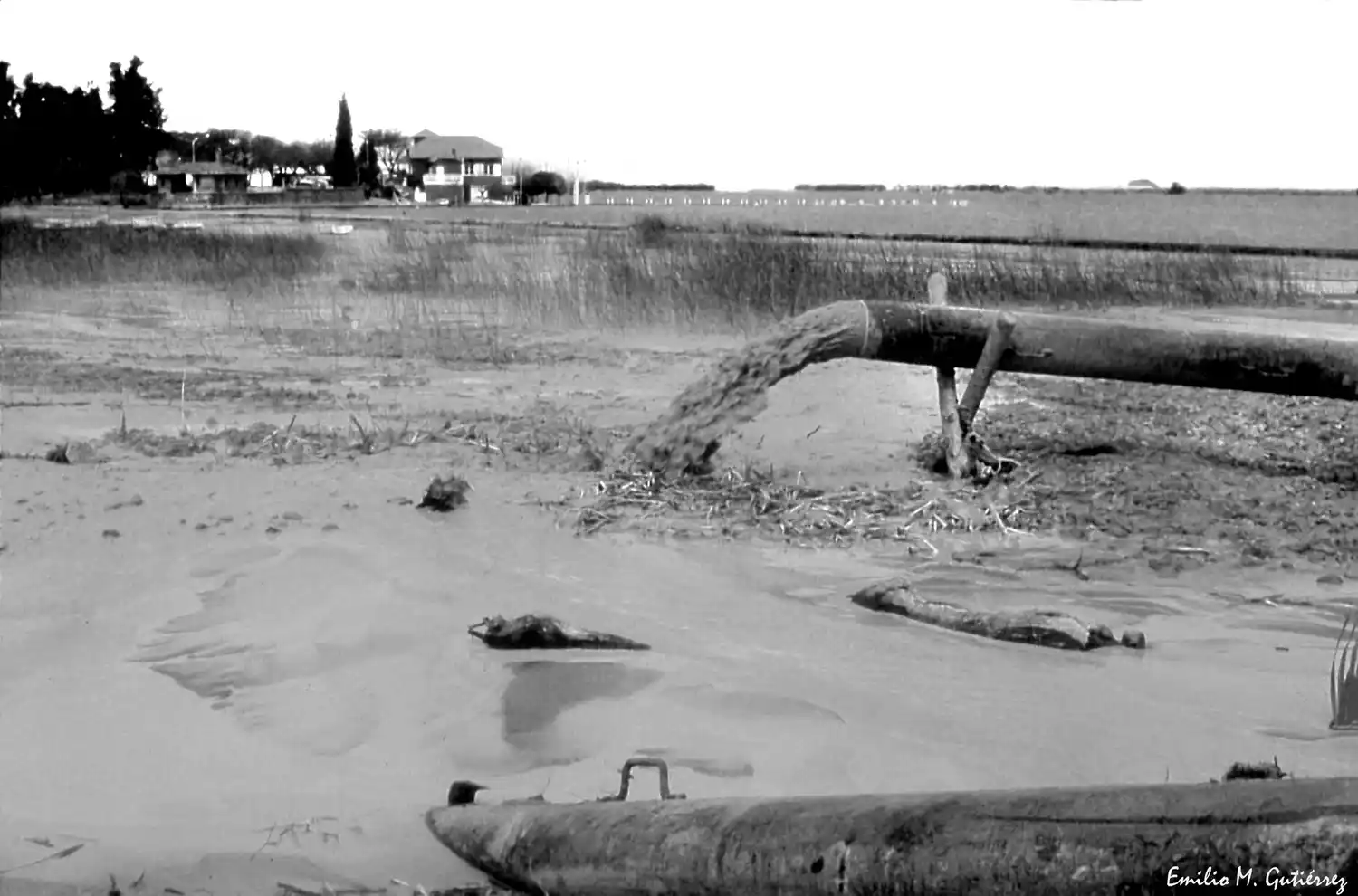 Las fotos que hacen historia: Emilio Mariano Gutiérrez revive el recuerdo del relleno de la laguna en Chascomús