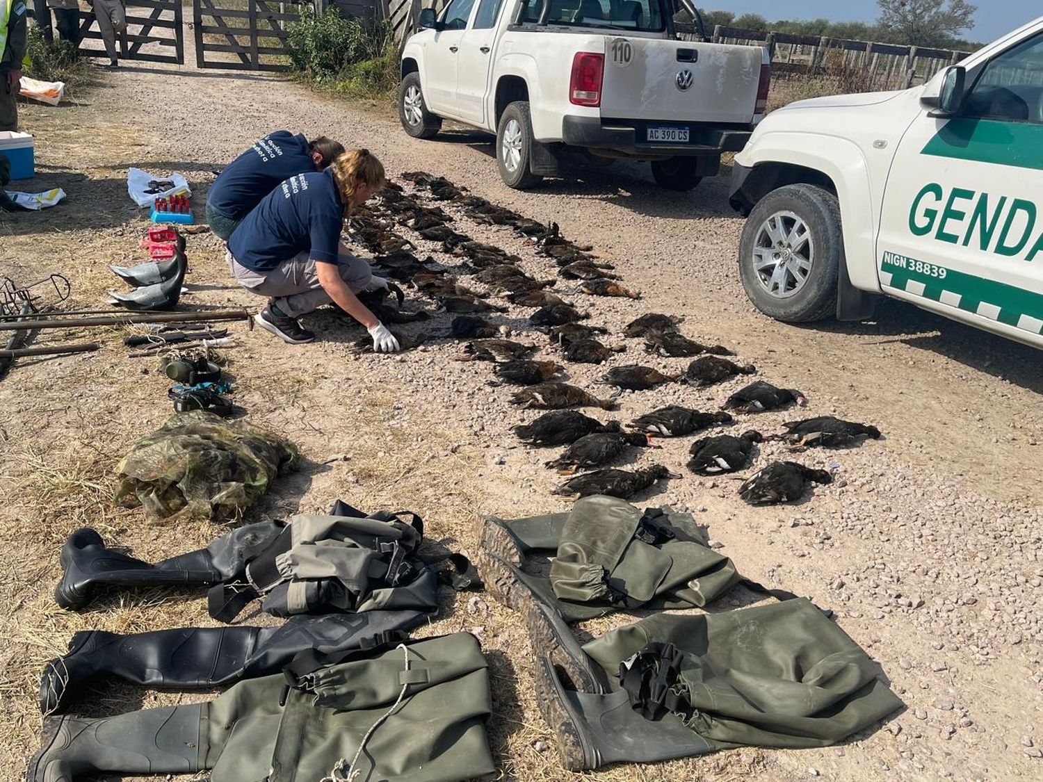 El operativo fue del Ministerio de Ambiente y Cambio Climático junto al personal de la Gendarmería Nacional Argentina. Crédito: GSF.