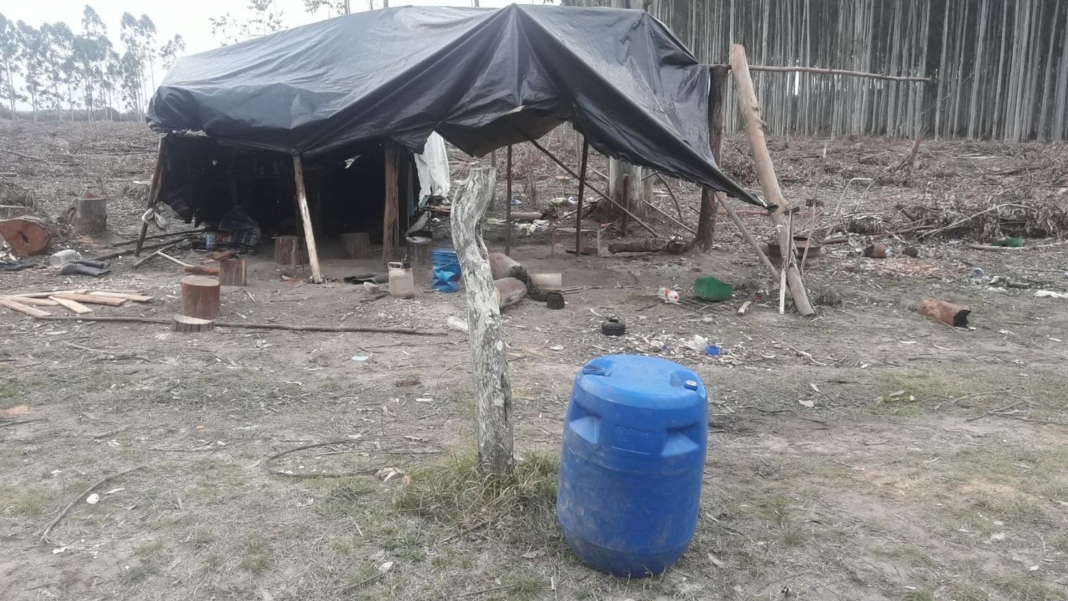 Por trata laboral, rescataron a 12 trabajadores de un campo