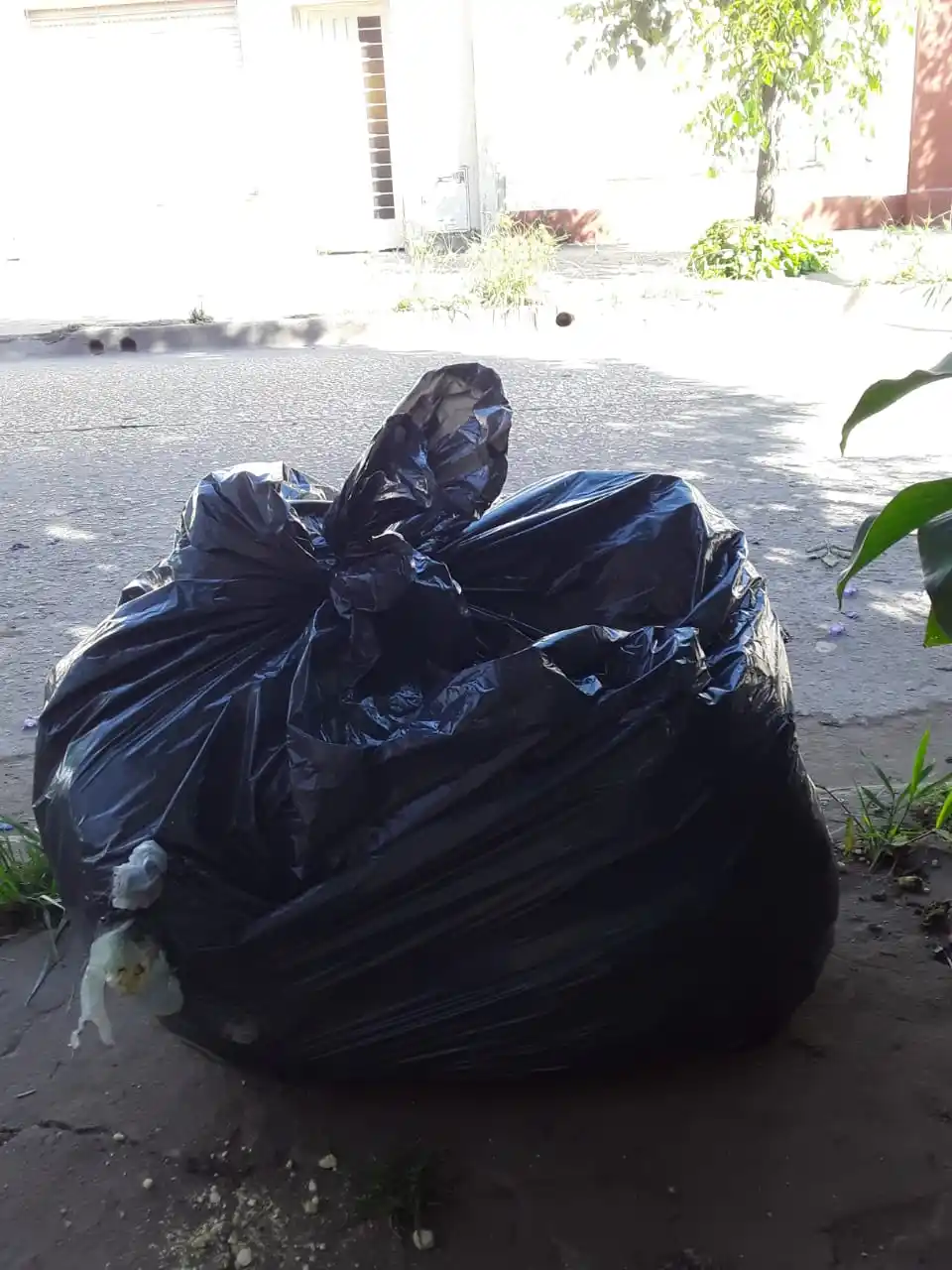 No levantan mi basura