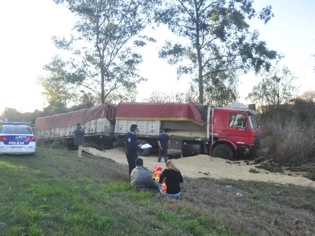 Camión se despistó en la avenida Maipú 