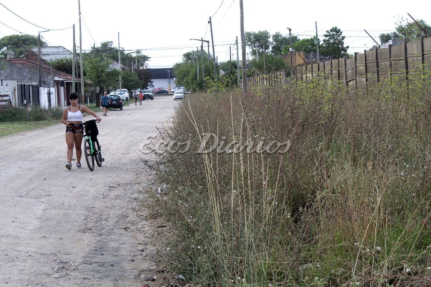 Abandono. Los pastizales son altos en la calle 77 entre 54 y 56