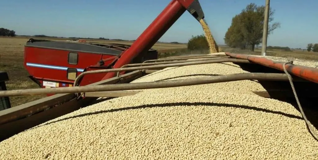 Sin brecha cambiaria y con menos retenciones,  la producción agrícola argentina proyectada a 2035 sube de 159,3 a 172,3 m de toneladas.