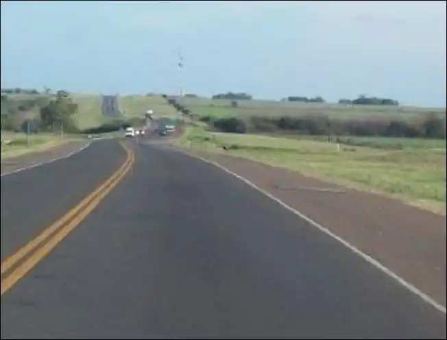 Despistó un auto en Ruta 20 tras esquivar un animal