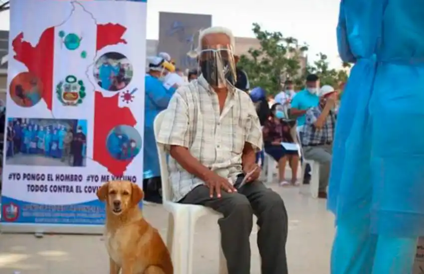 Un abuelo se vacunó contra el coronavirus y llevó a su perro: “Quise compartir con él este momento tan importante”