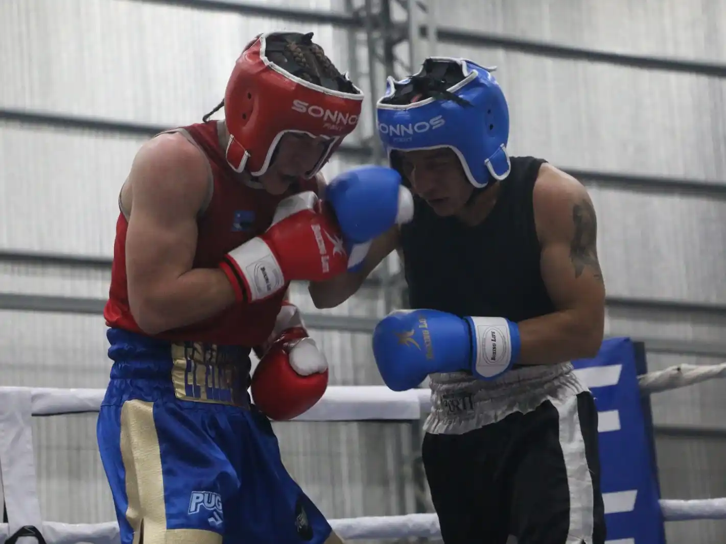 Crédito: Comisión Municipal de Boxeo.