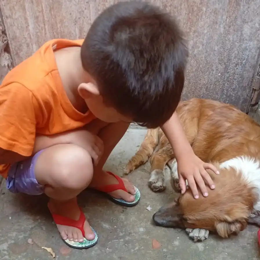 ¡Apareció el perrito Peluche!