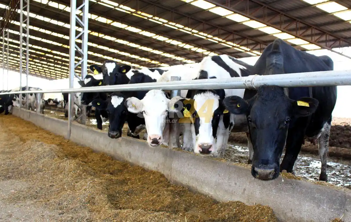Santa Fe produce 3 mil millones de litros de leche anuales