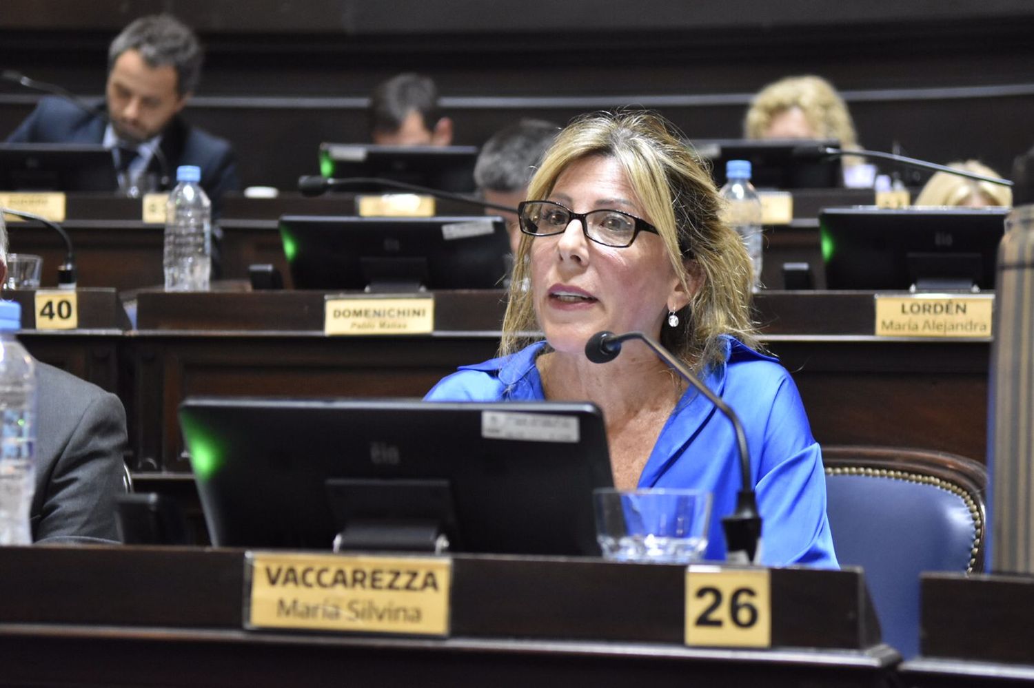 La diputada Silvina Vaccarezza.