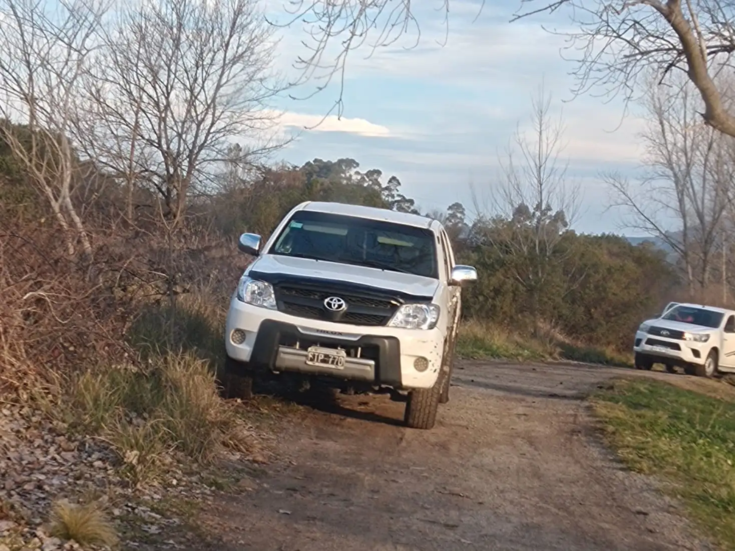 Cortaron un árbol para poder desencajar a una camioneta.