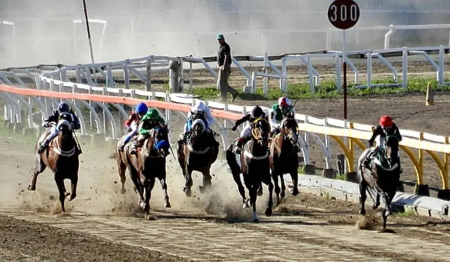 Martes 4: Actividad en el Hipódromo de La Plata