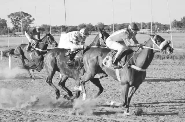 Se desarrollará el domingo la segunda reunión hípica en el hipódromo local