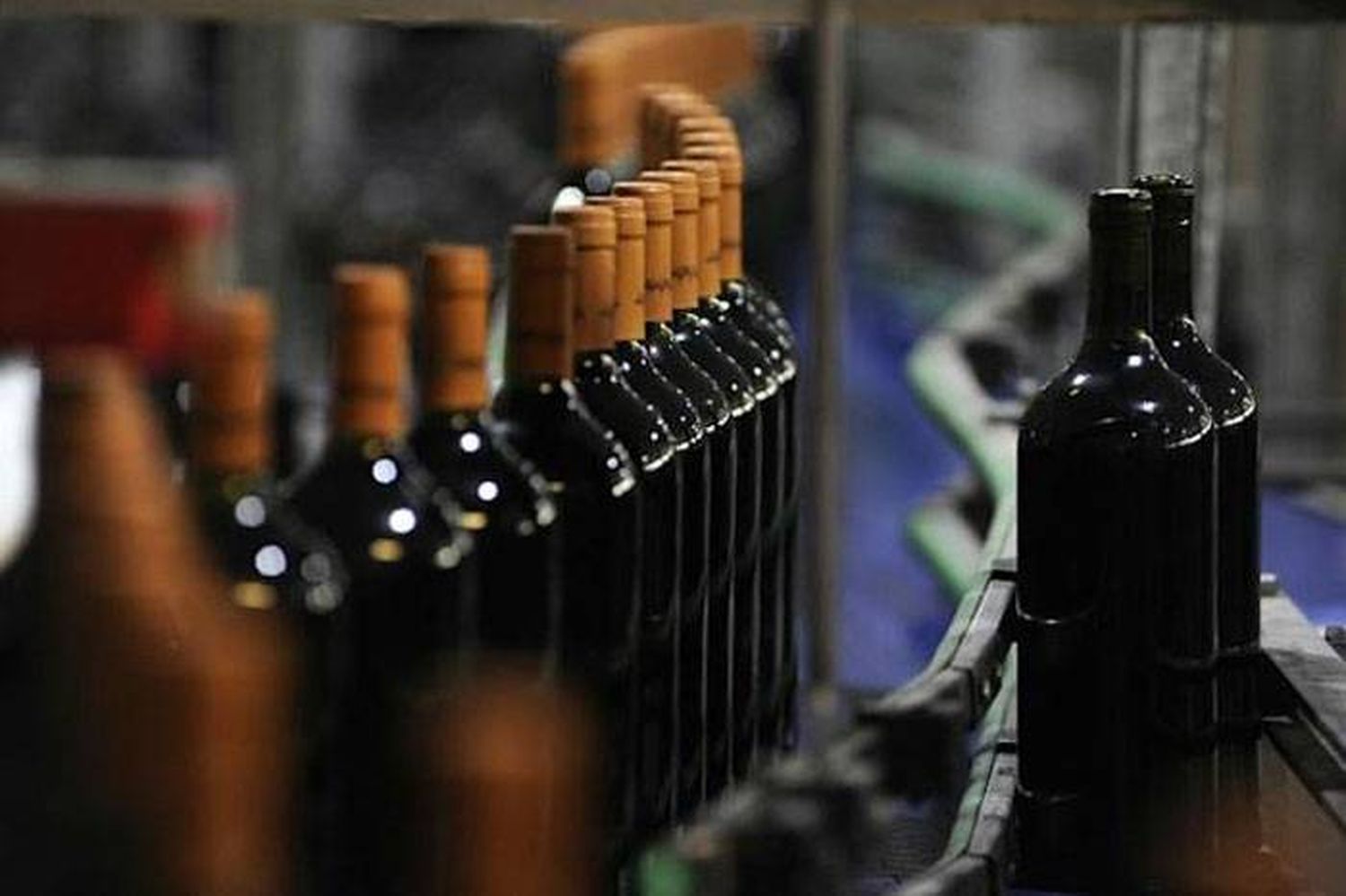 Récord de exportaciones  de vinos durante el 2021