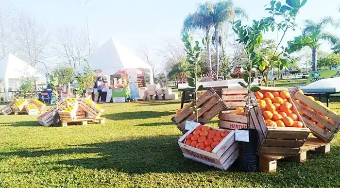 Difusión en las termas de Federación
