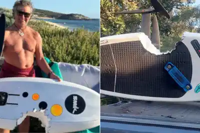Australia: un windsurfista de 61 años fue atacado por un tiburón, luchó contra él y sobrevivió