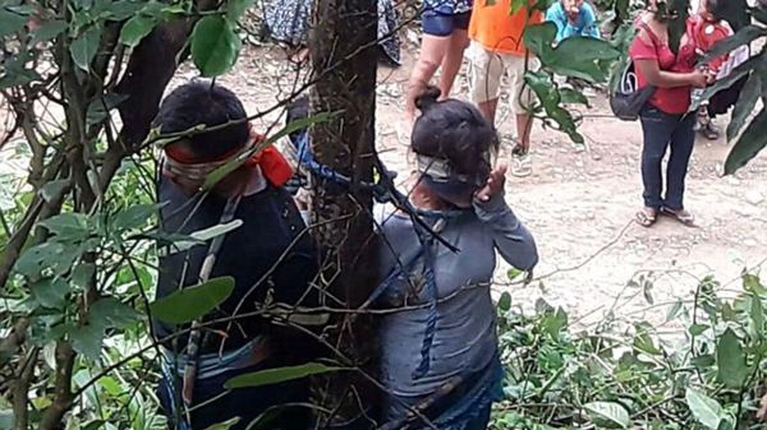 Conmoción en Bolivia: justicia comunitaria por picadura de hormigas