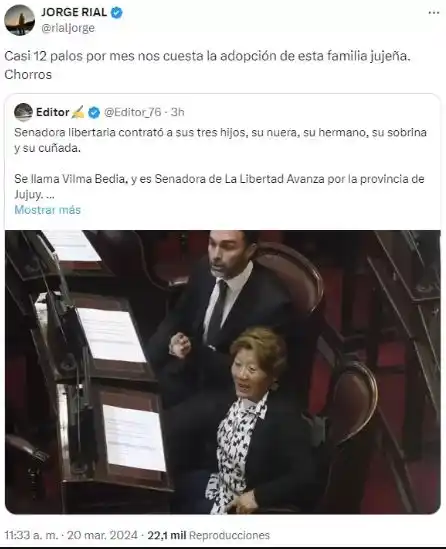 vilma facunda vedia milei - 2