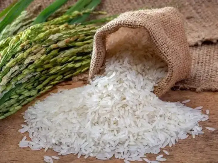 El Gobierno provincial creó el sello “Arroz Entrerriano” para distinguir la producción local