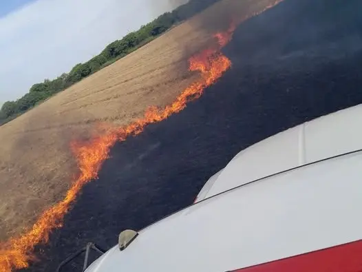 Incendio forestal en Santa Clara de Saguier: Bomberos controlaron un foco que afectó cuatro hectáreas