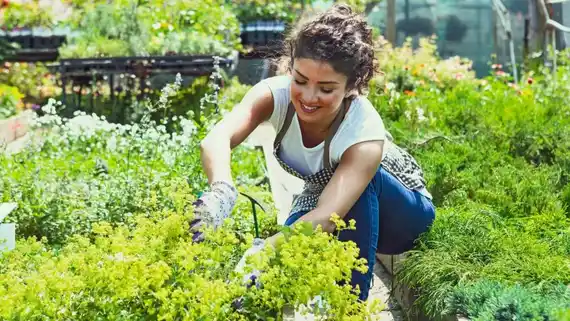 “La mente bien ajardinada”: el poder terapéutico de la jardinería para la salud mental