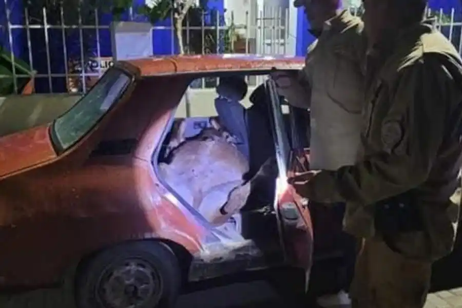 De no creer: se robaron un ternero y tres lechones en un Renault 12