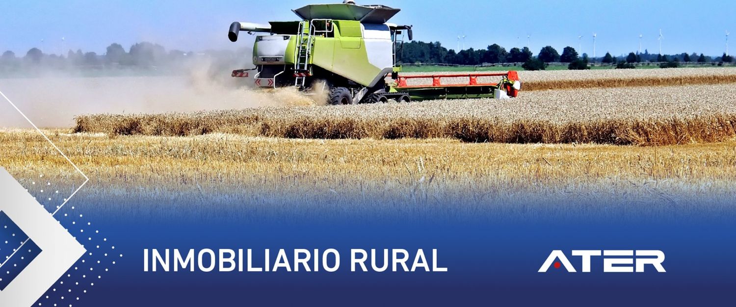 Comienza el vencimiento del pago anual o primer anticipo del impuesto inmobiliario rural 2021