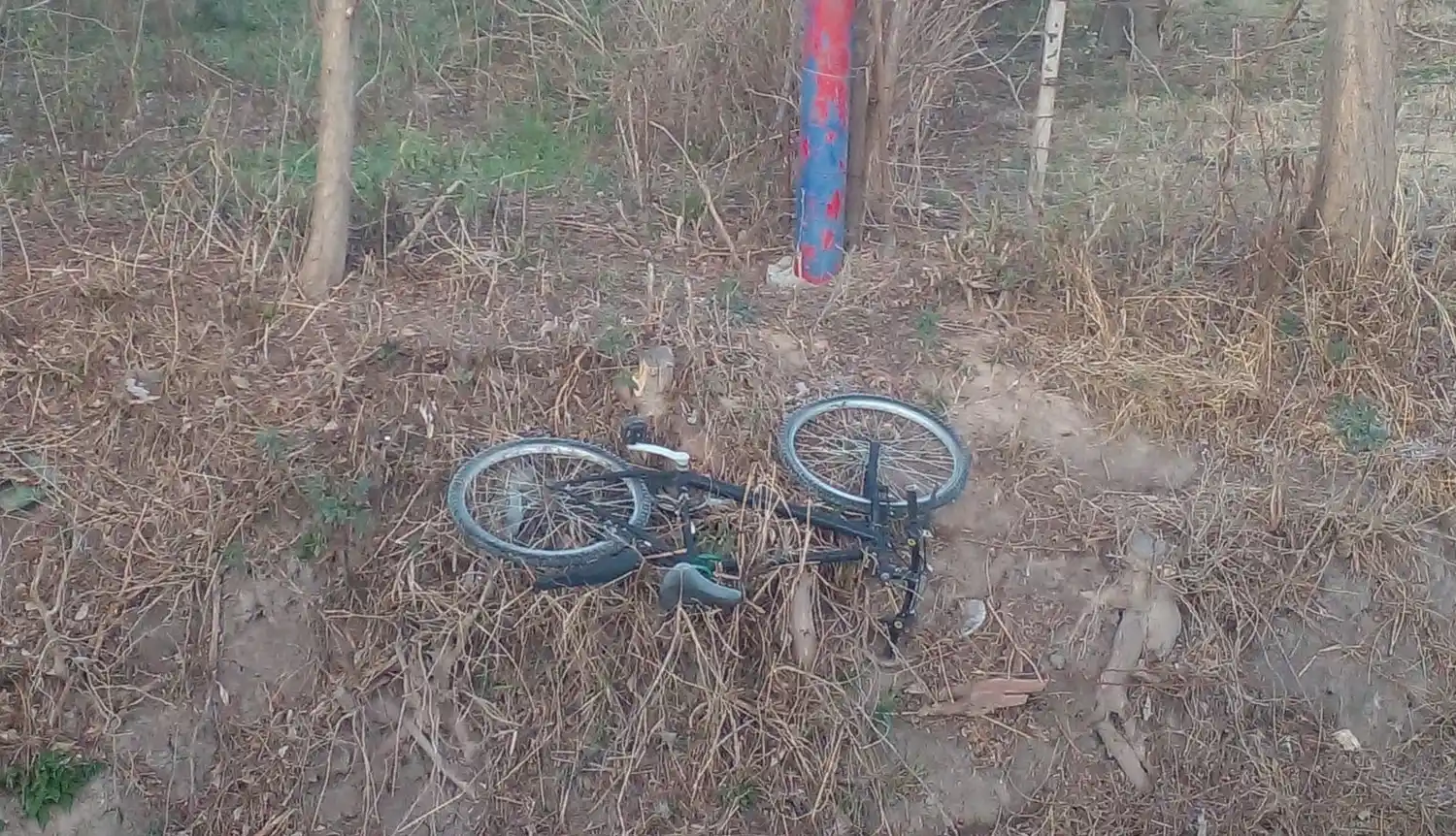 El rodado estaba en un baldío.