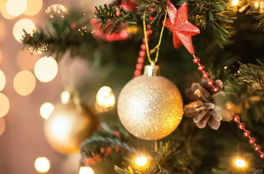 Los precios de los árboles de navidad subieron alrededor de 40% respecto al año pasado