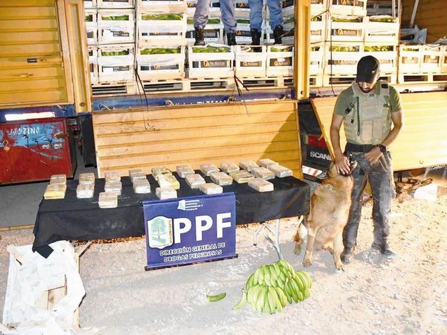 La Policía secuestró más de 24 kilos de cocaína
camuflados en un cargamento de banana