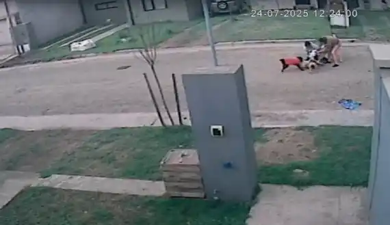 Un hombre y su perra fueron brutalmente atacados por un dogo