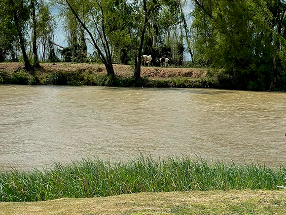 Crecida del río Iguazú: qué pasa con el río Paraná en la zona de San Pedro