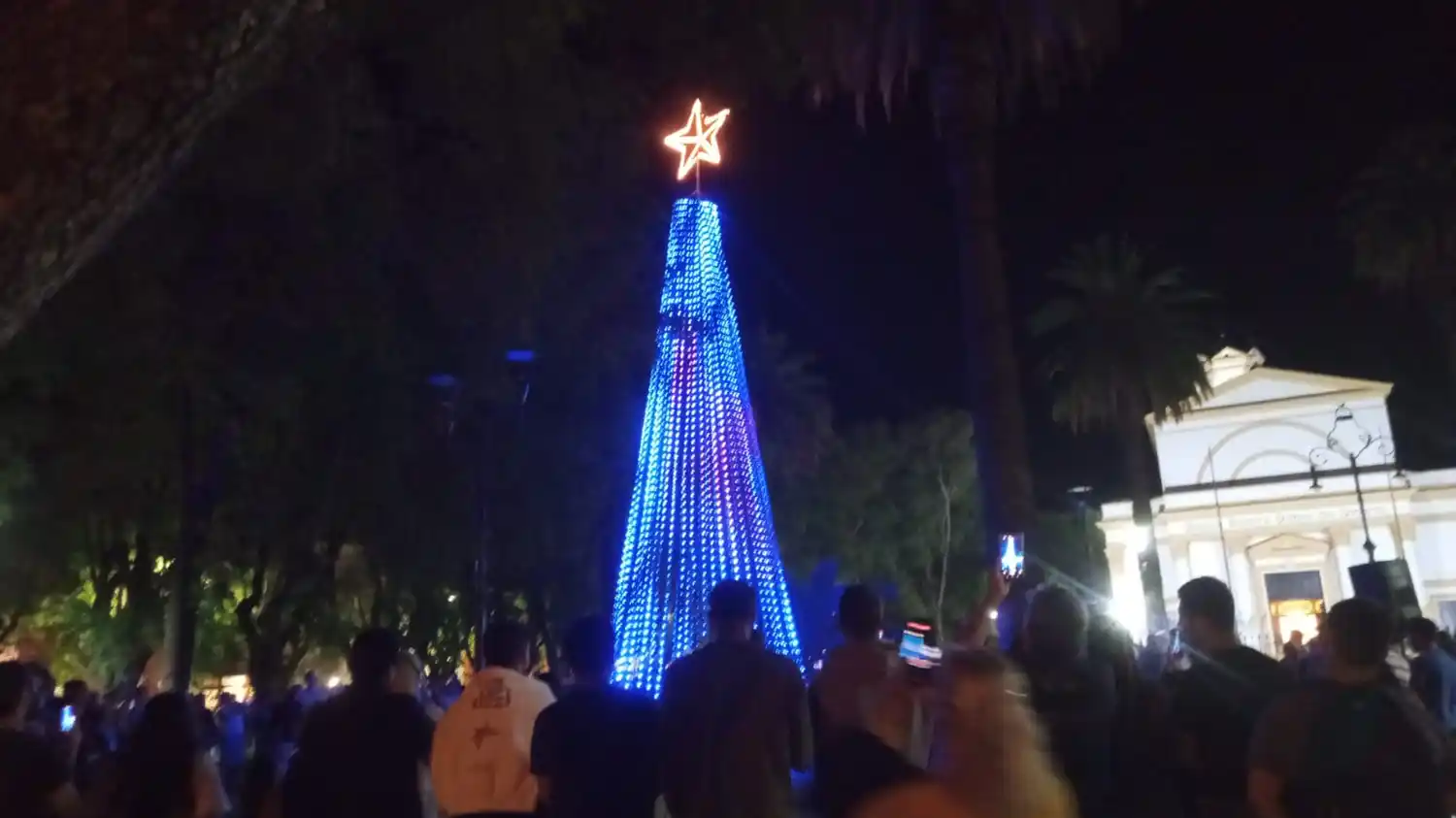 encendido arbolito de navidad plaza constitución