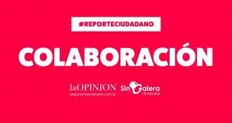 Celeste pide colaboración