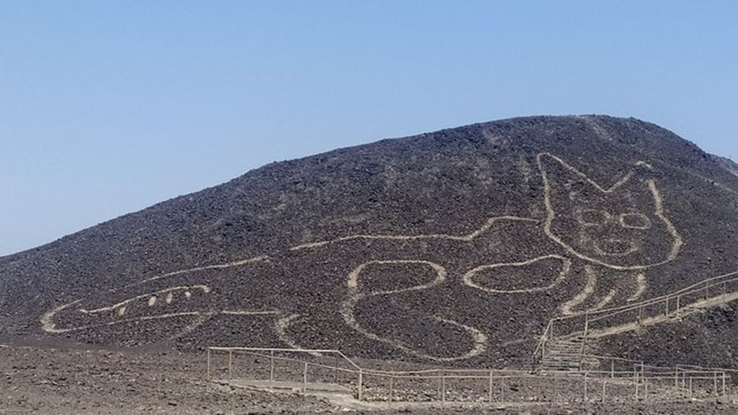 GATO DE NAZCA: nueva figura de las líneas arquelógicas