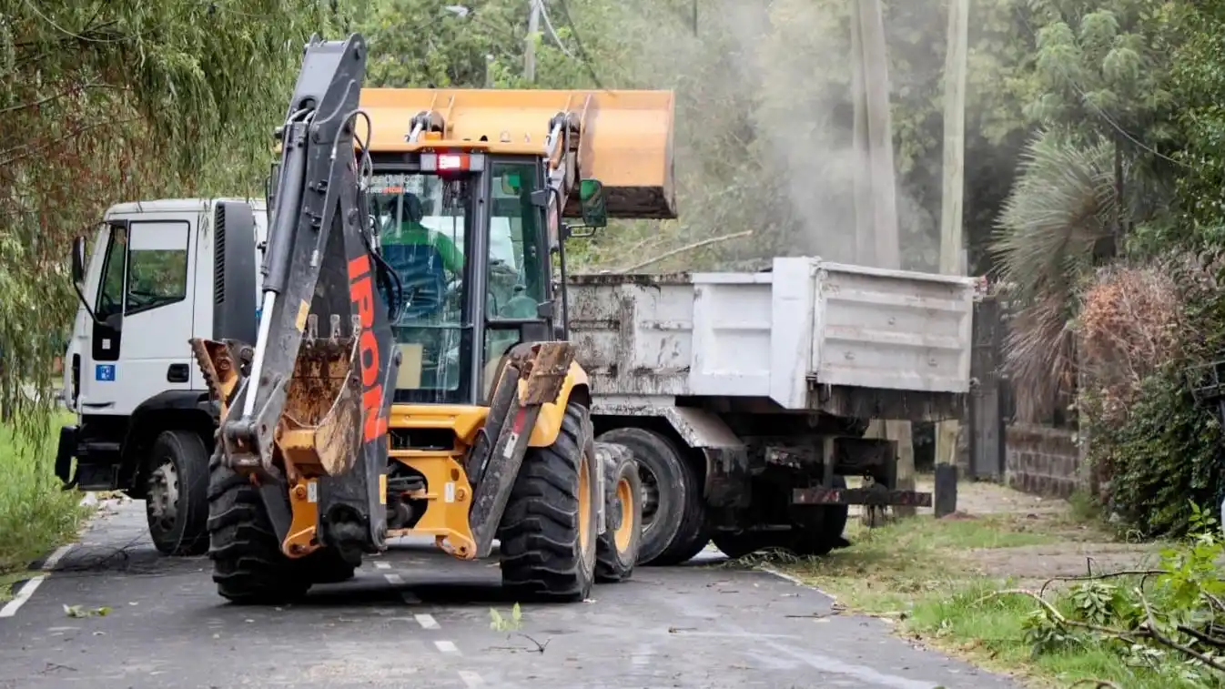 Los trabajos se están desarrollando en varios puntos del distrito.