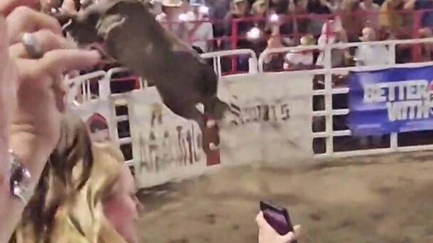 A rodeo bull hopped a fence surrounding an Oregon arena