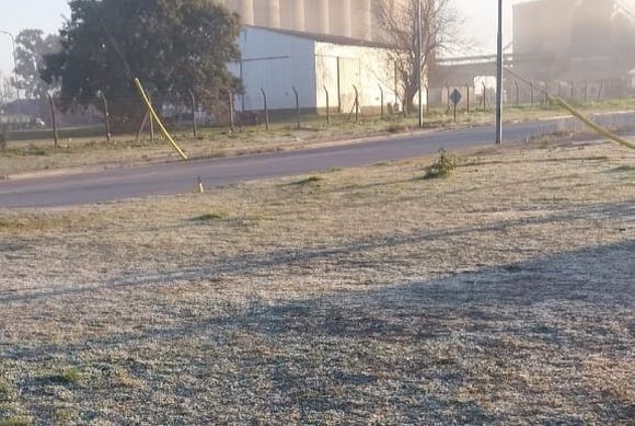 Ola de frío: persiste la alerta roja y fue otra madrugada de heladas