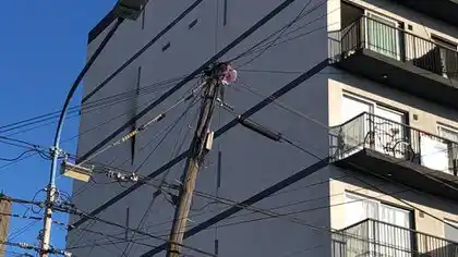 El video del feroz incendio en Caseros: dos bomberos muertos y uno en estado crítico