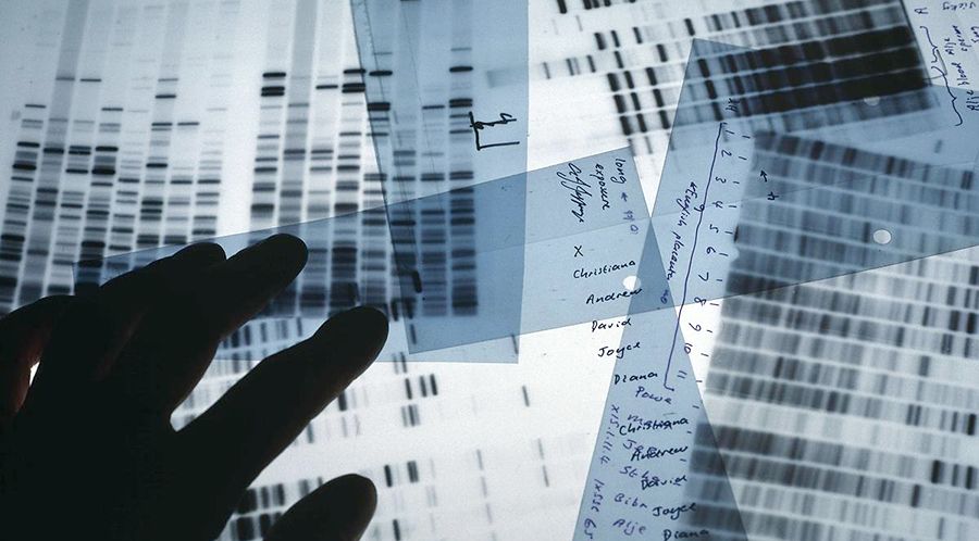 El gobierno reglamentó la ley que crea el Registro de datos genéticos de violadores