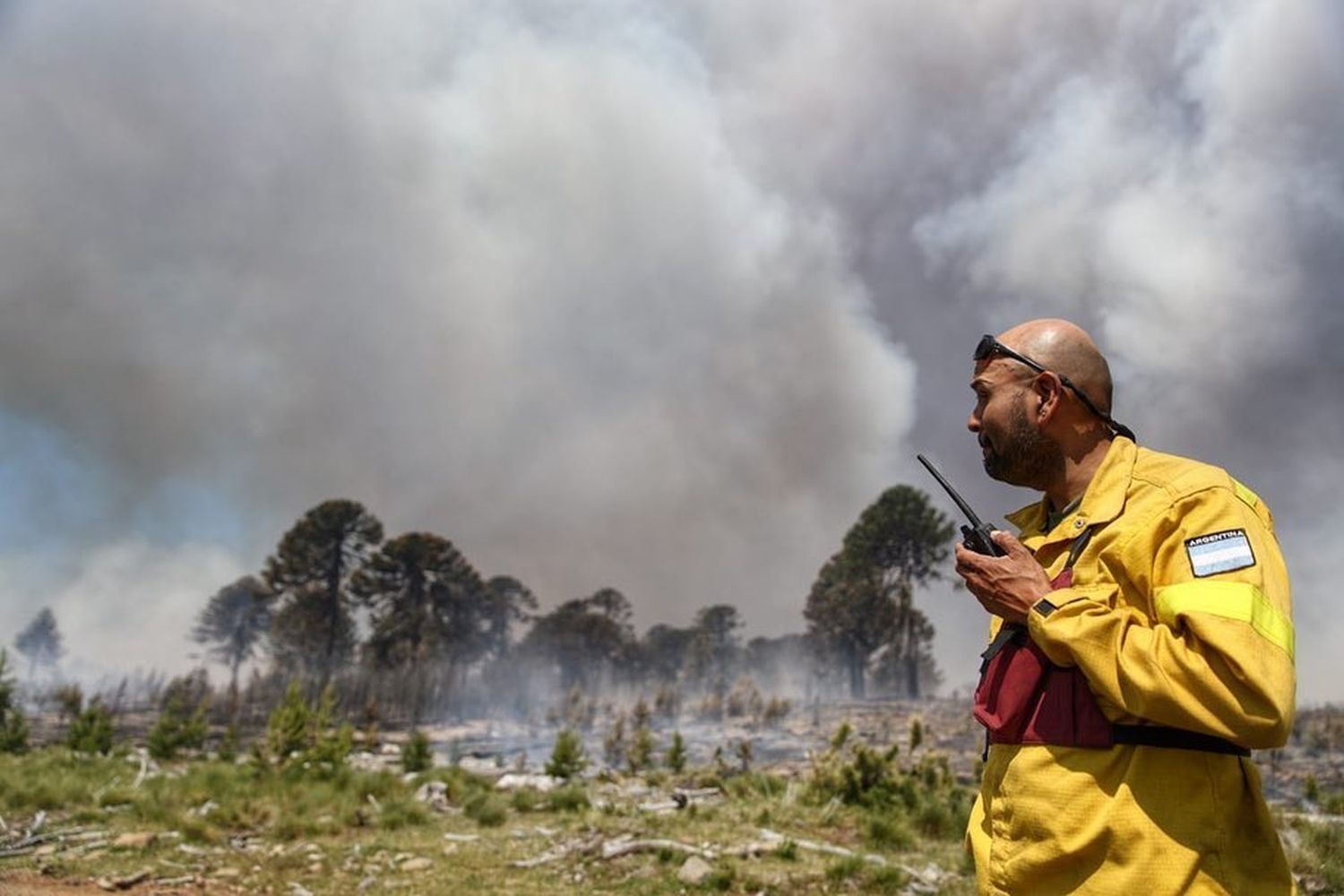 Las lluvias extinguieron focos en las islas del Paraná y San Fernando