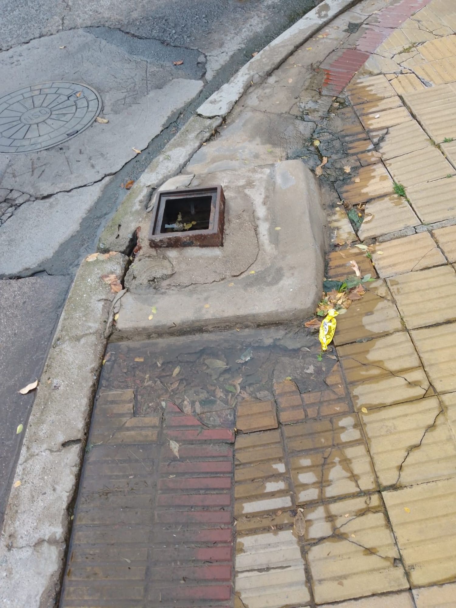 El agua brota a diario, generando un color verdoso en las baldosas por el moho que se acumula por la humedad.