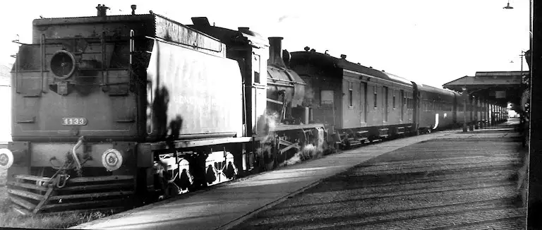 Tren