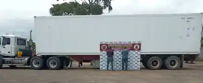 INSÓLITO: transportaban combustible oculto entre reses