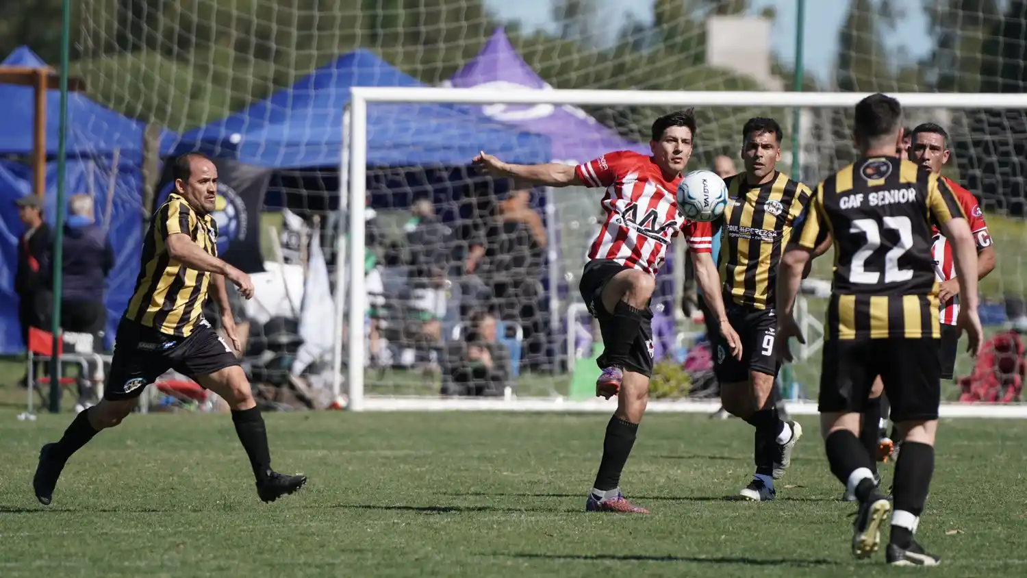 Plena disputa. De las finales de la Liga Nacional de Clubes Senior en Necochea